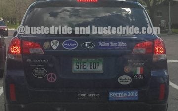 SHE BOP - Vanity License Plate by Busted Ride