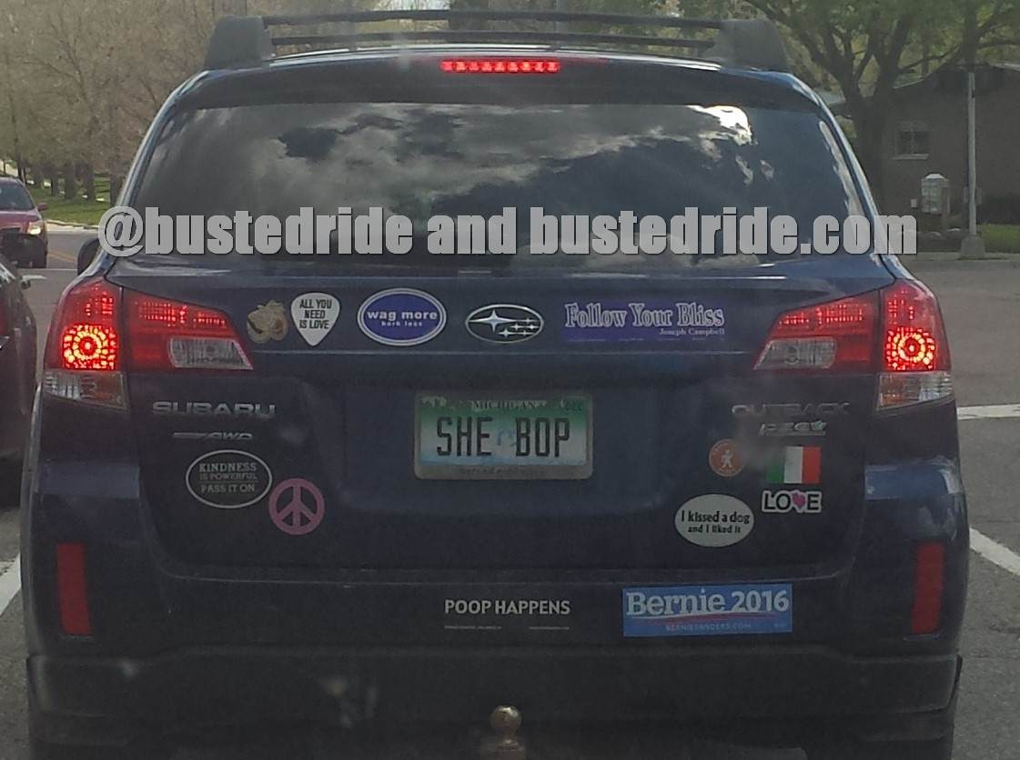 SHE BOP - Vanity License Plate by Busted Ride