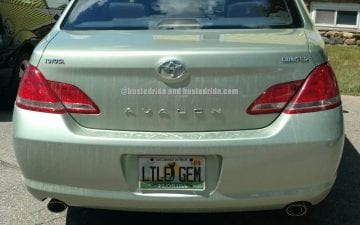 LTLE GEM - Vanity License Plate by Busted Ride