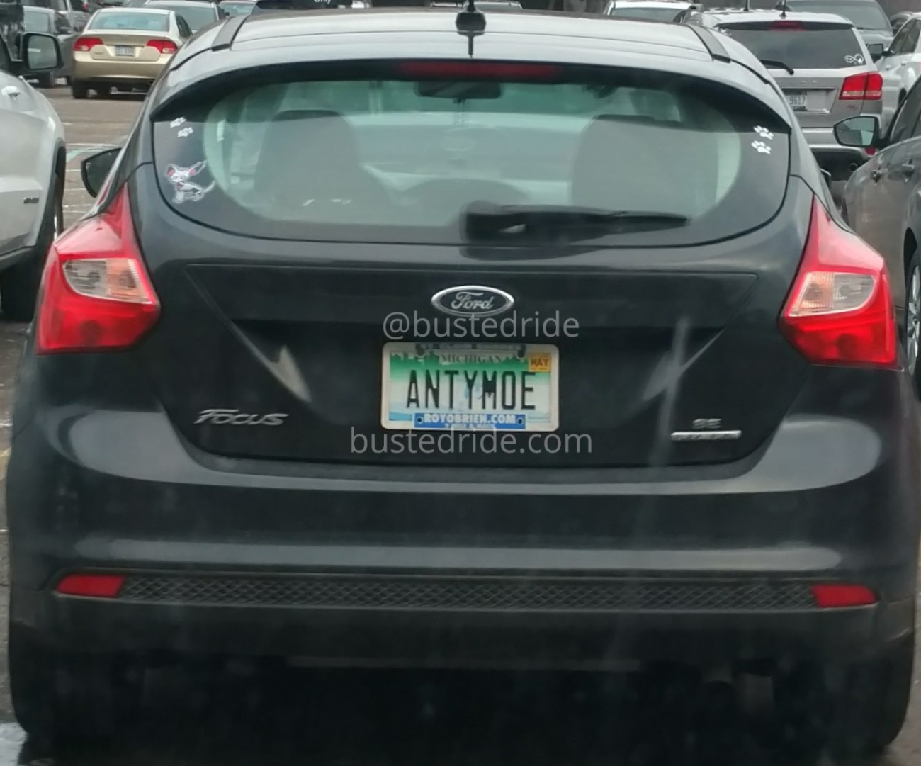 ANTYMOE - Vanity License Plate by Busted Ride