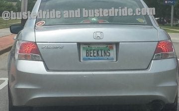 BEEKINS - Vanity License Plate by Busted Ride
