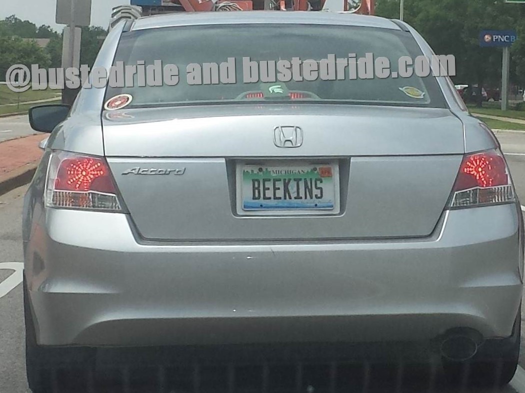 BEEKINS - Vanity License Plate by Busted Ride