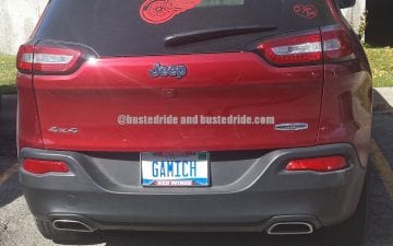 GAMICH - Vanity License Plate by Busted Ride