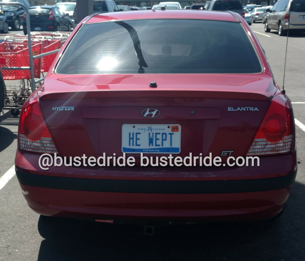 HE WEPT - Vanity License Plate by Busted Ride