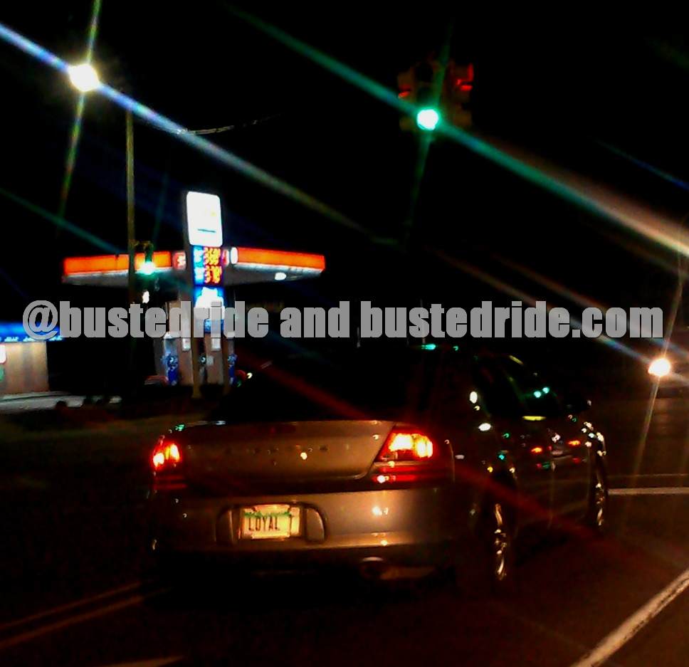 Loyal T - Vanity License Plate by Busted Ride