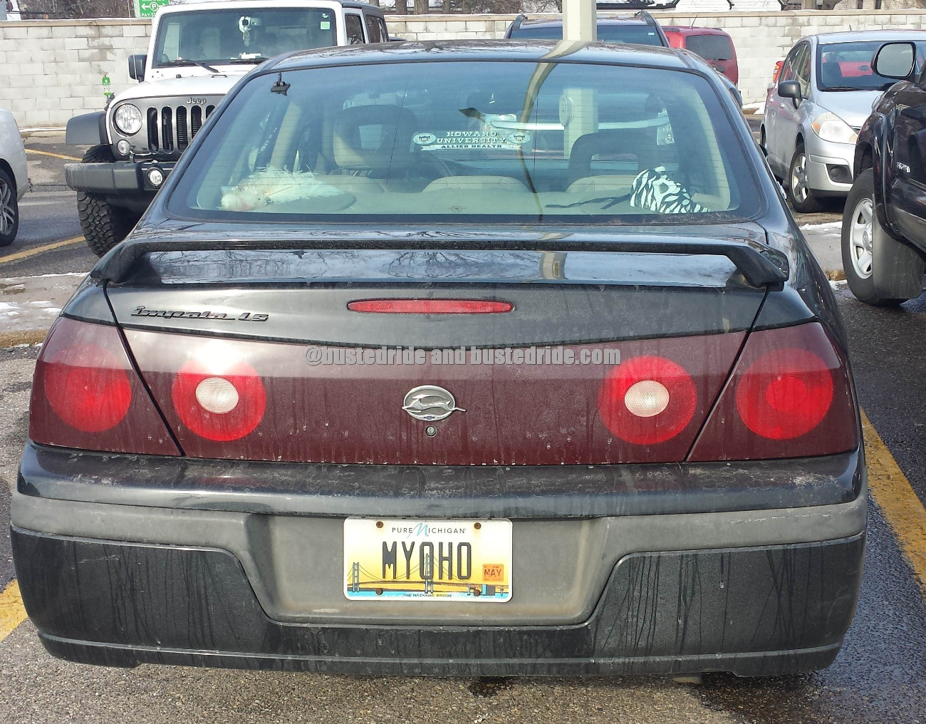 Myoho - Vanity License Plate by Busted Ride