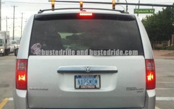 NAPSMOM - Vanity License Plate by Busted Ride