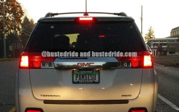 PamSisu - Vanity License Plate by Busted Ride