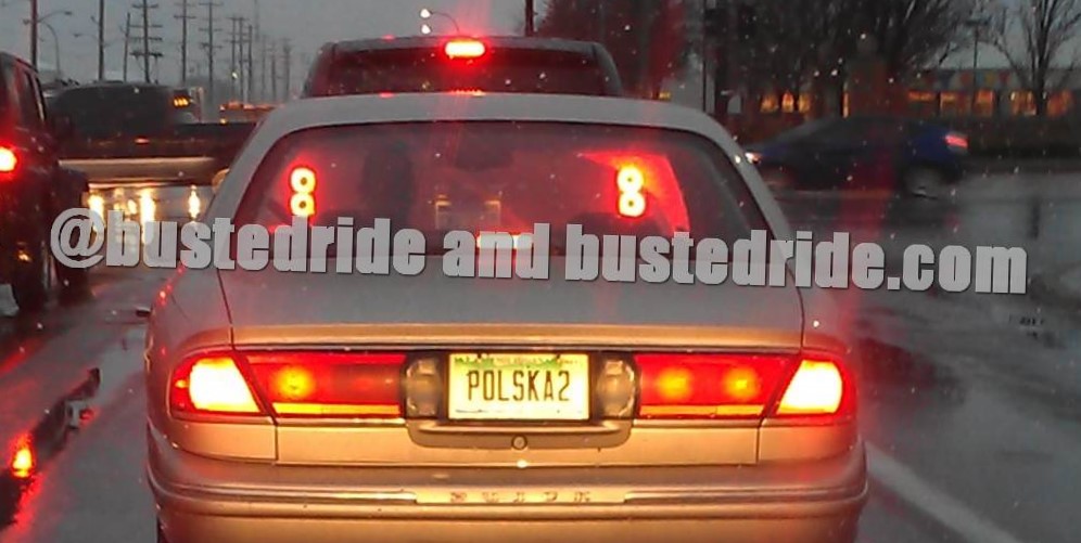 Polska2 - Vanity License Plate by Busted Ride