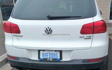 RREDDOG - Vanity License Plate by Busted Ride