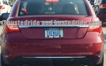 The Mare - Vanity License Plate by Busted Ride