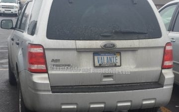 VALANIE - Vanity License Plate by Busted Ride
