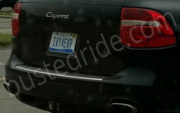 IVY4EVR - Vanity License Plate by Busted Ride