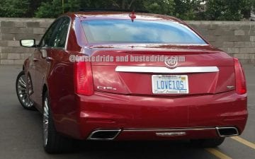 LOVE10S - Vanity License Plate by Busted Ride