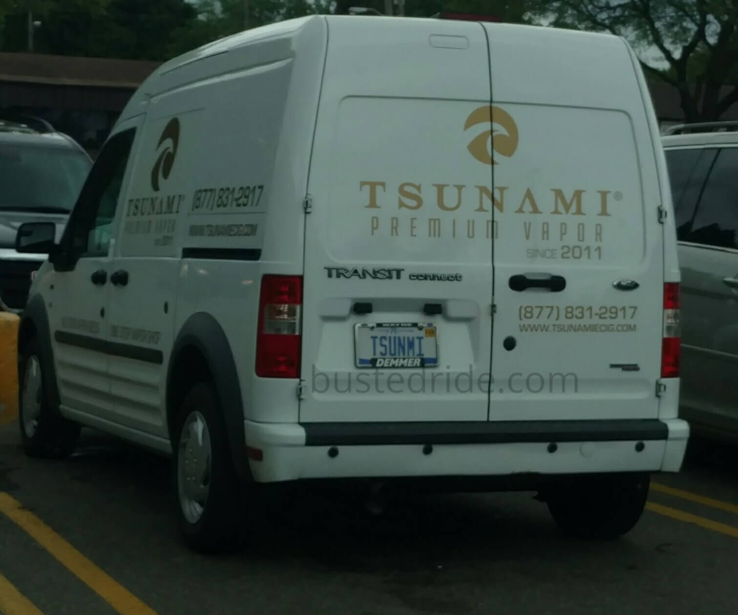 TSUNMI - Vanity License Plate by Busted Ride