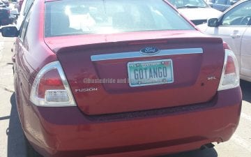 GOTANGO - Vanity License Plate by Busted Ride