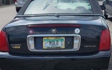 MOLD 1 - Vanity License Plate by Busted Ride