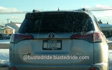 FUSSY - Vanity License Plate by Busted Ride
