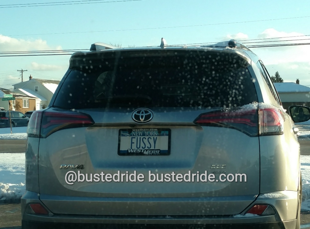 FUSSY - Vanity License Plate by Busted Ride