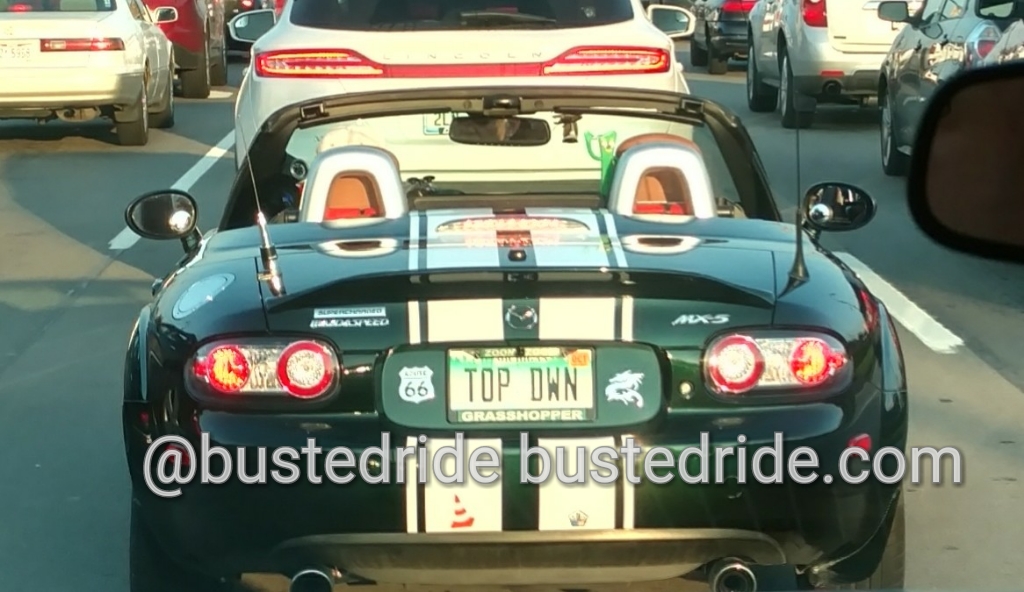 TOP DWN - Vanity License Plate by Busted Ride