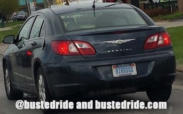 BIRDDDD - Vanity License Plate by Busted Ride