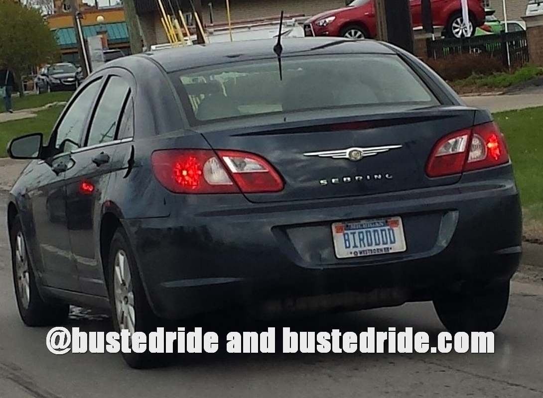 BIRDDDD - Vanity License Plate by Busted Ride