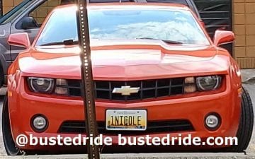 1NICOLE - Vanity License Plate by Busted Ride