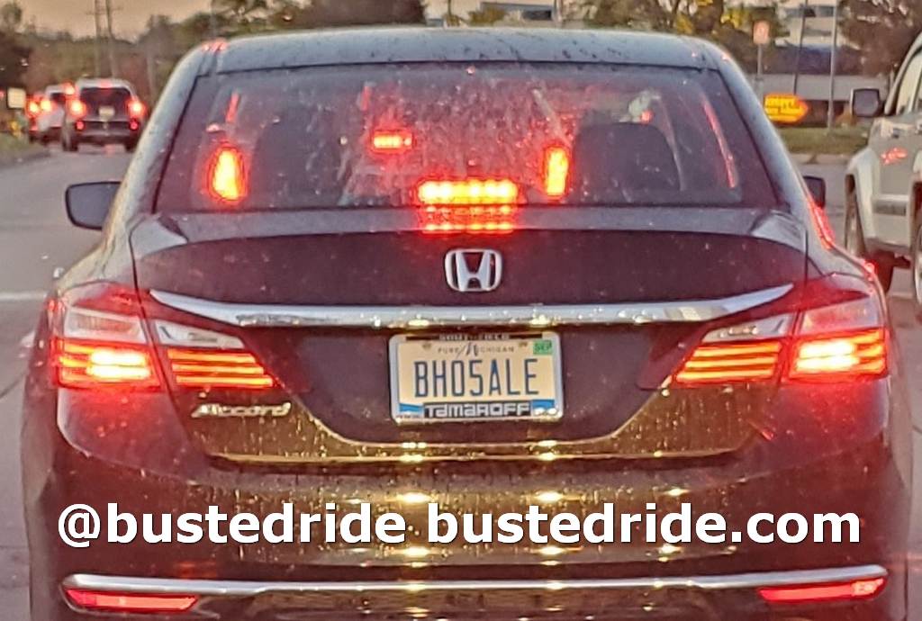 BH05ALE - Vanity License Plate by Busted Ride