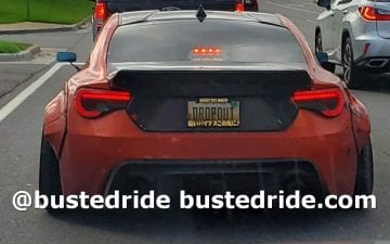 DROPOUT - Vanity License Plate by Busted Ride