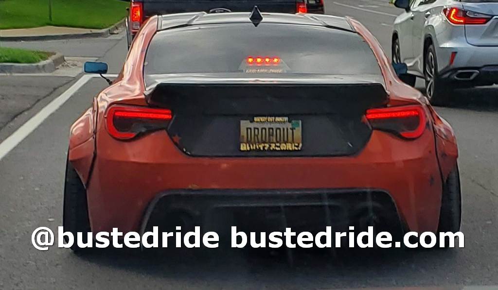 DROPOUT - Vanity License Plate by Busted Ride