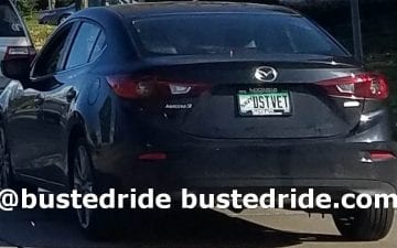 DSTVET - Vanity License Plate by Busted Ride
