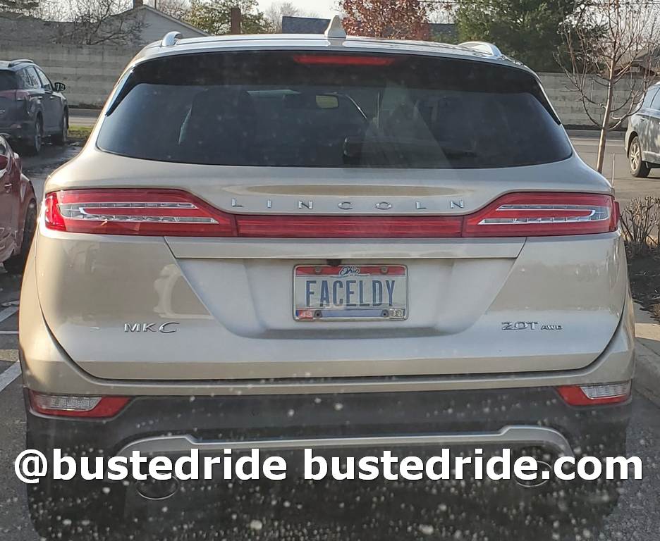 FACELDY - Vanity License Plate by Busted Ride