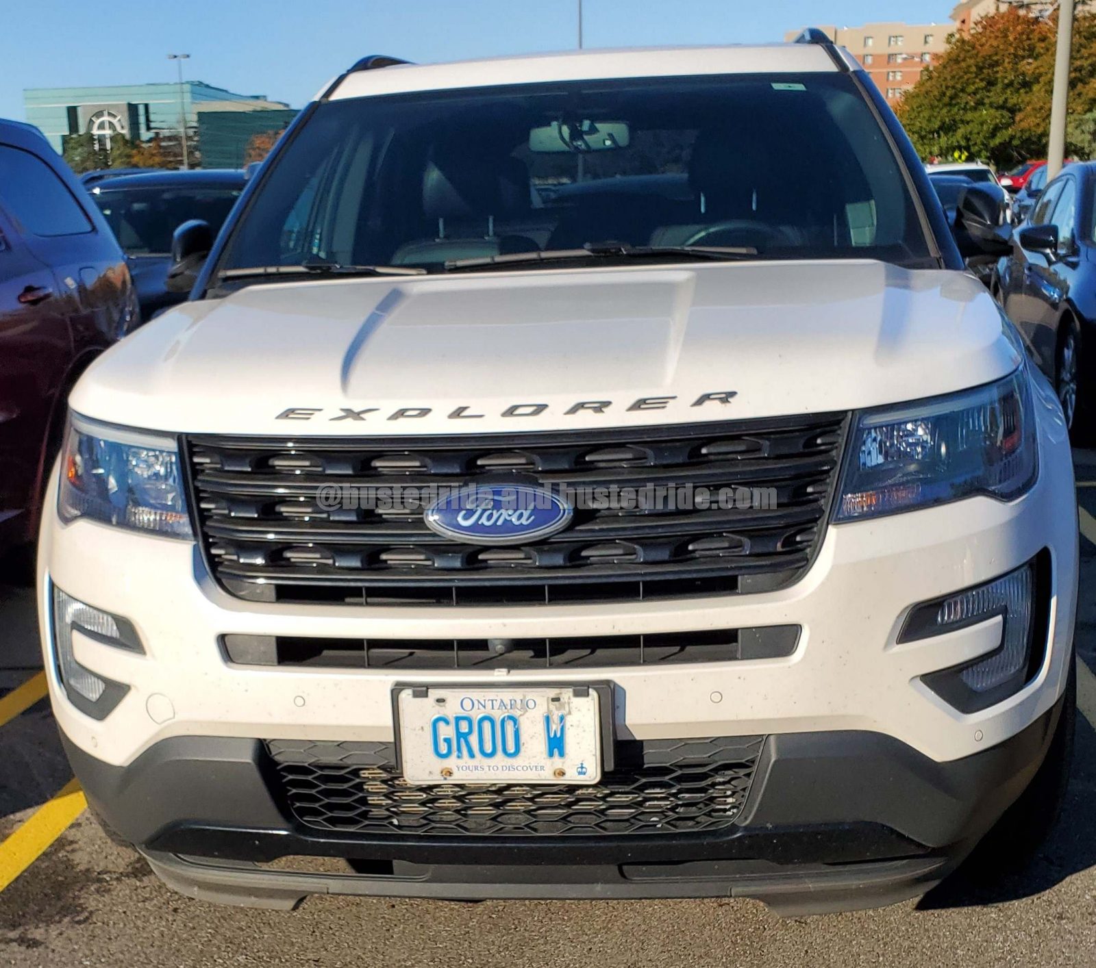 GROO W - Vanity License Plate by Busted Ride