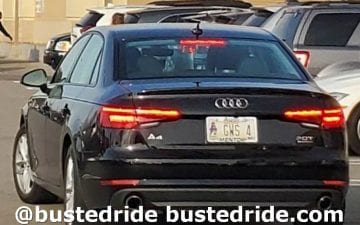 GWS 4 - Vanity License Plate by Busted Ride