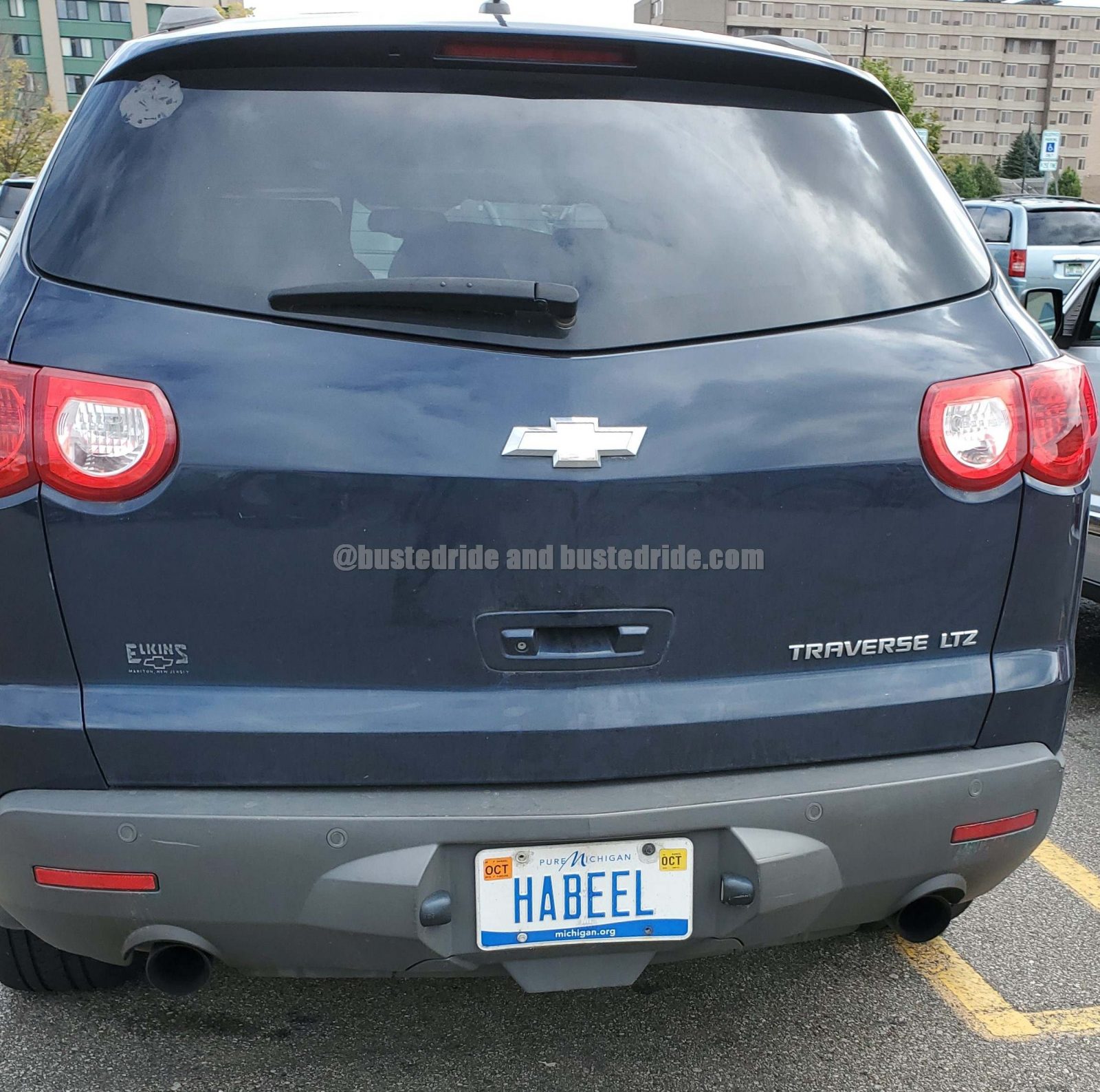 HABEEL - Vanity License Plate by Busted Ride
