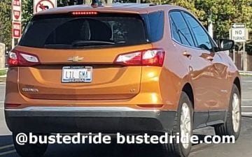 L1L GMA Grandparents Day 2021! - Vanity License Plate by Busted Ride