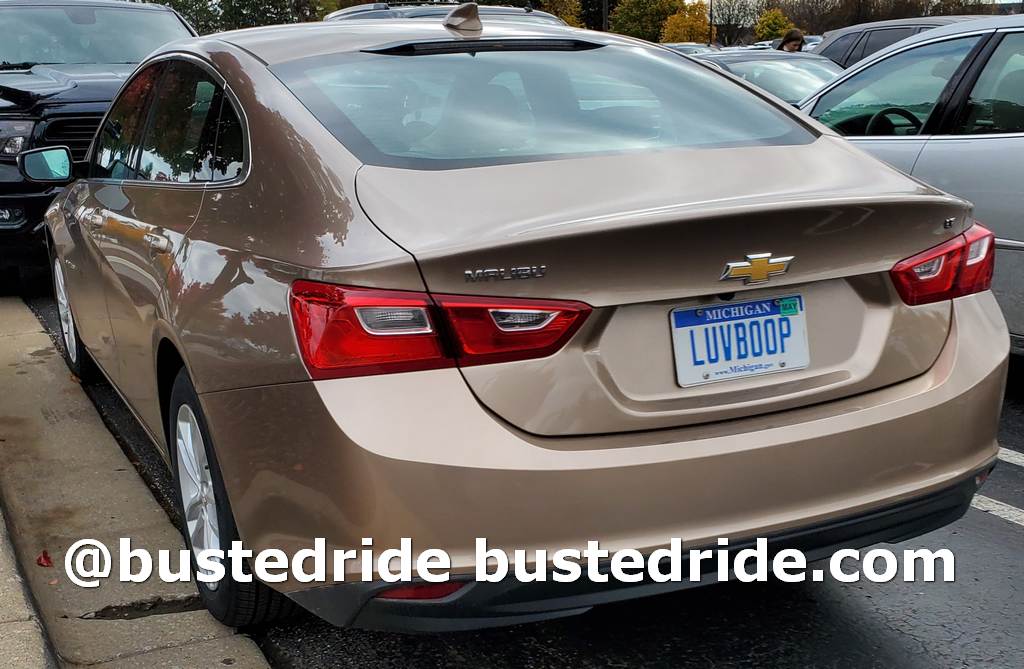 LUVBOOP - Vanity License Plate by Busted Ride