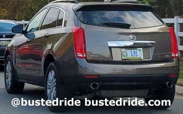 LYE - Vanity License Plate by Busted Ride