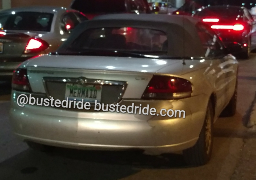 MERMAID - Vanity License Plate by Busted Ride