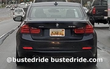 MINDFUL1 - Vanity License Plate by Busted Ride
