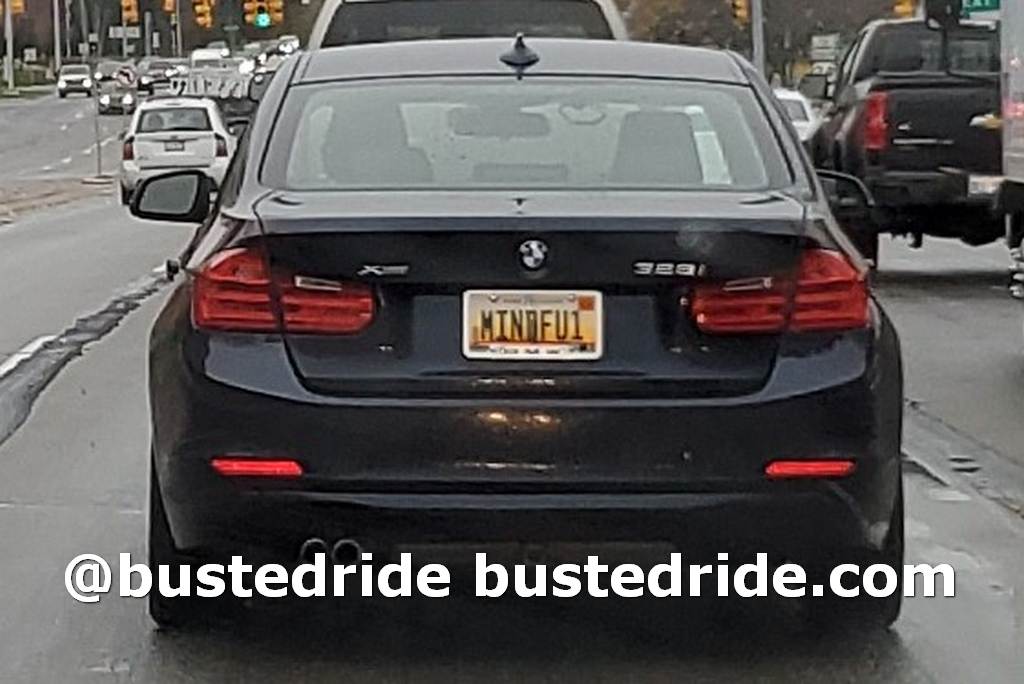 MINDFUL1 - Vanity License Plate by Busted Ride