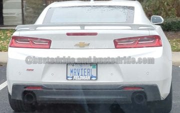 MRVIERL - Vanity License Plate by Busted Ride