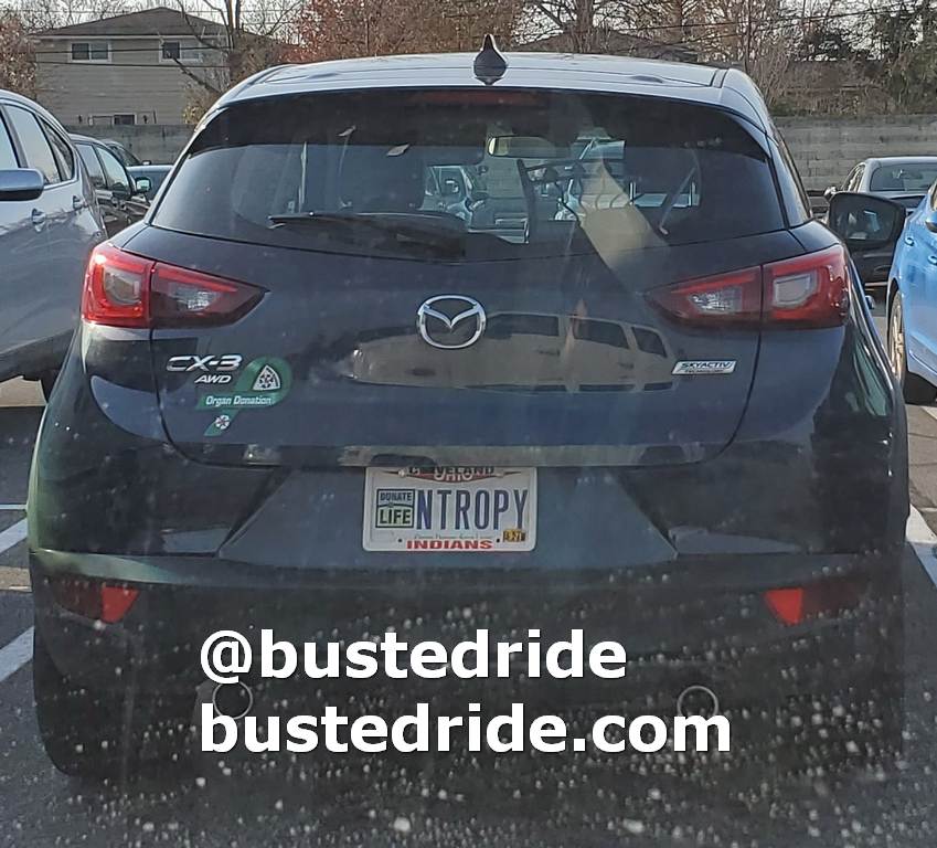 NTROPY - Vanity License Plate by Busted Ride