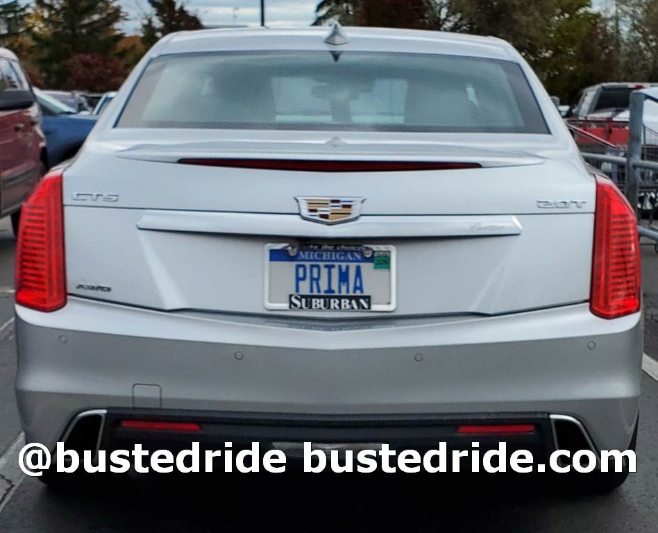 PRIMA - Vanity License Plate by Busted Ride