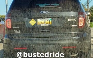 QGIRLZ1 - Vanity License Plate by Busted Ride