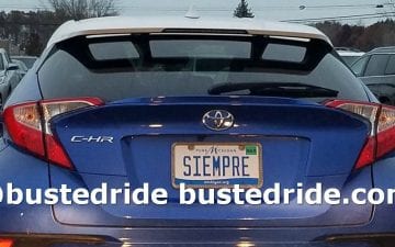 SIEMPRE - Vanity License Plate by Busted Ride