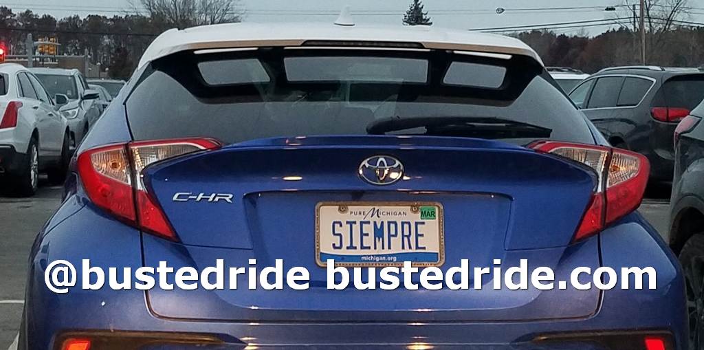 SIEMPRE - Vanity License Plate by Busted Ride