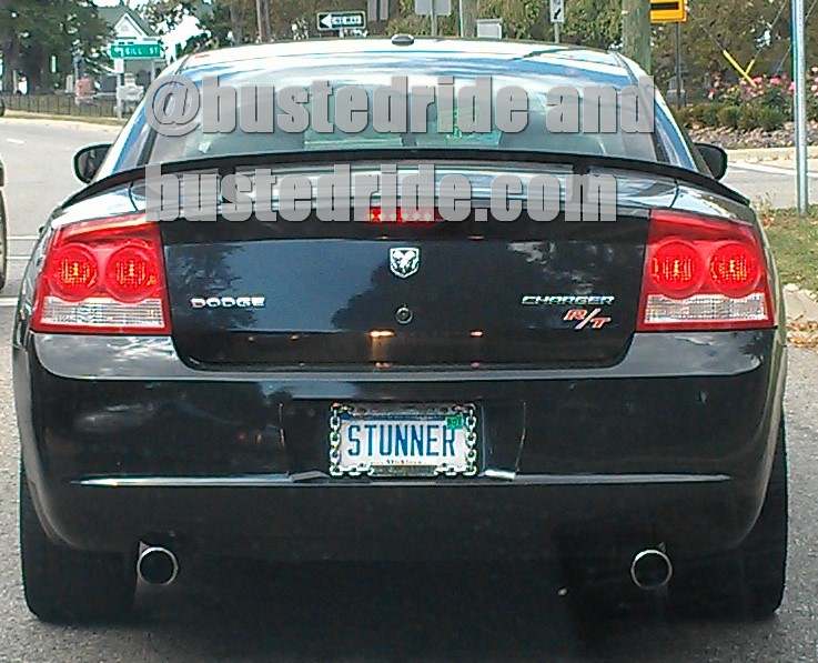 STUNNER - Vanity License Plate by Busted Ride
