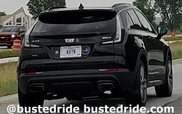 WAYN - Vanity License Plate by Busted Ride