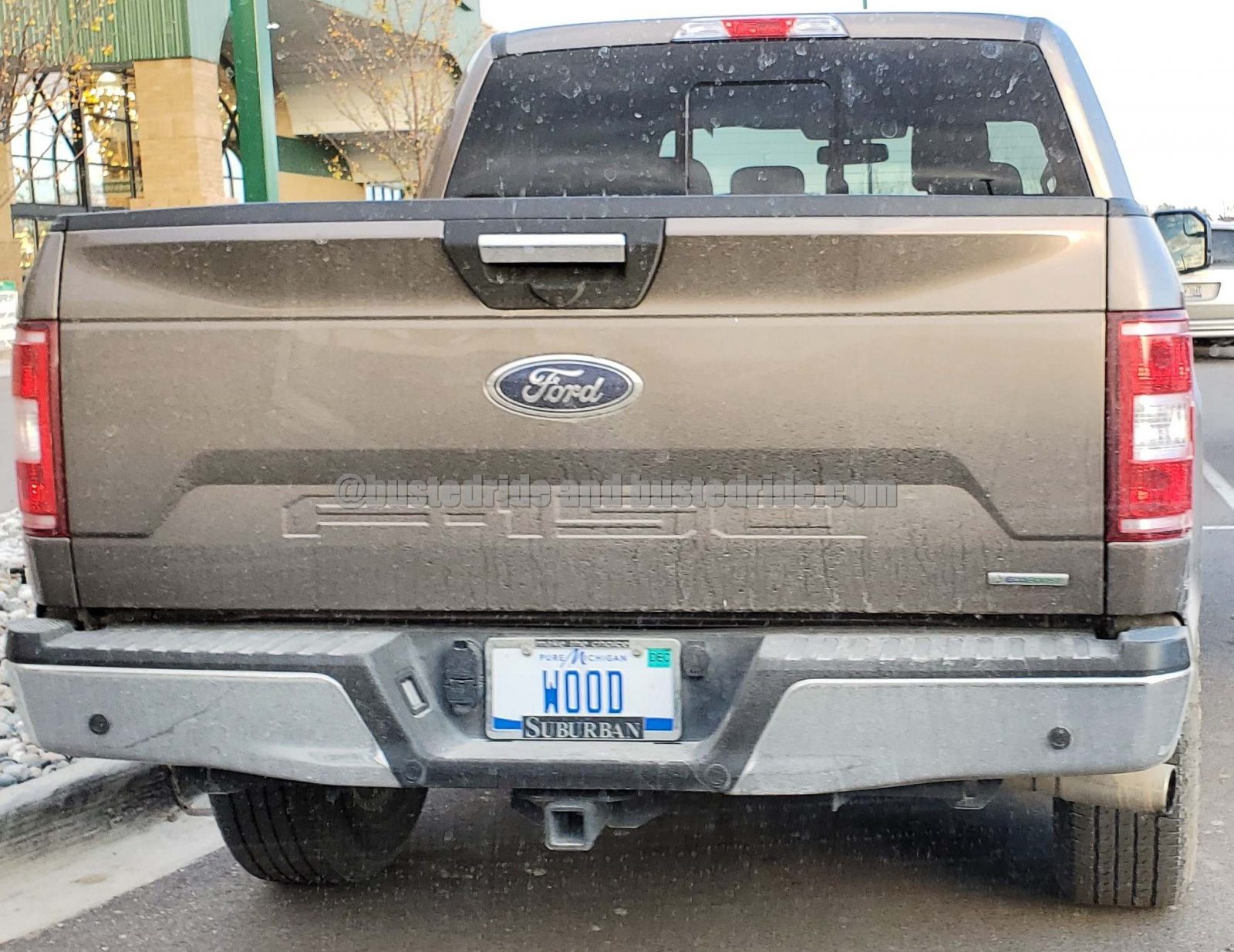 WOOD - Vanity License Plate - Busted Ride